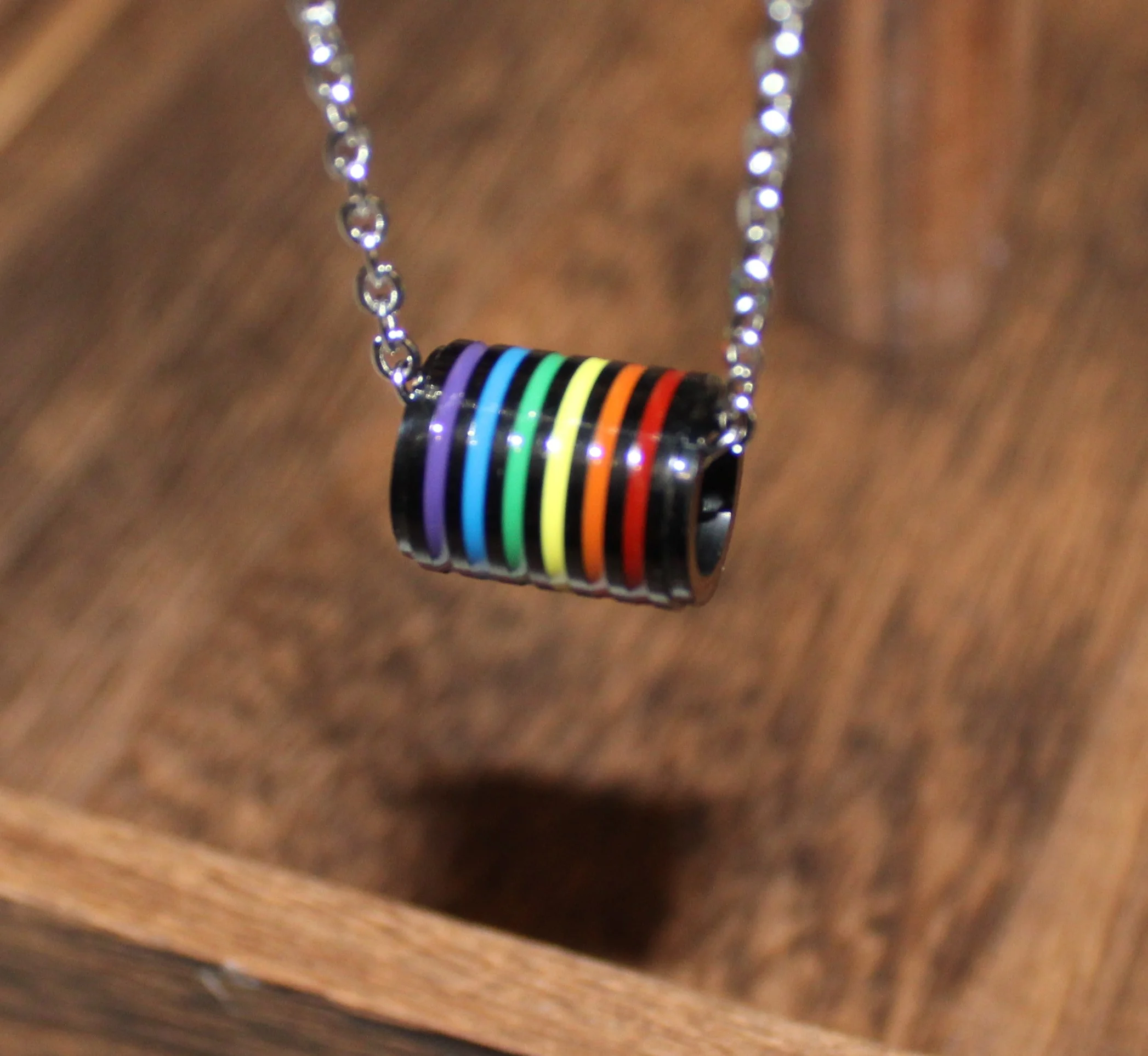 IP Black Coated Pride Rainbow Cylinder Pendant Necklace with Chain