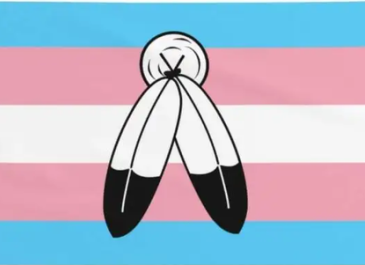 Transgender Two Spirit Pride Flag: Transgender flag with 2 feathers superimposed on it.