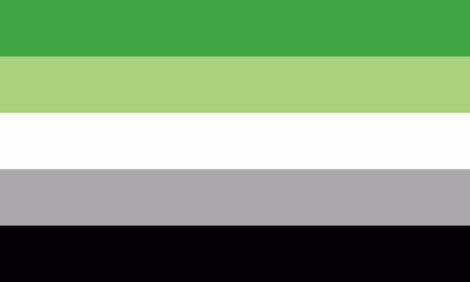 Aromantic Pride Flag: 5 horizontal stripes - dark green, light green, white, grey, black