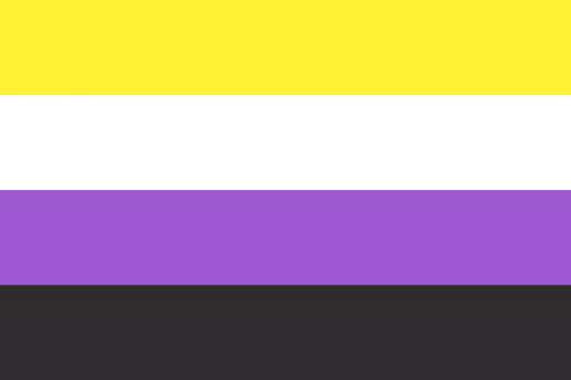 Nonbinary Pride Flag: 4 equal stripes, yellow, white, purple, black
