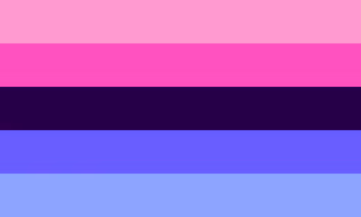 Omnisexual Pride Flag: 5 equal sized horizontal stipes. light pink, bright pink, black, purple, pale purple.